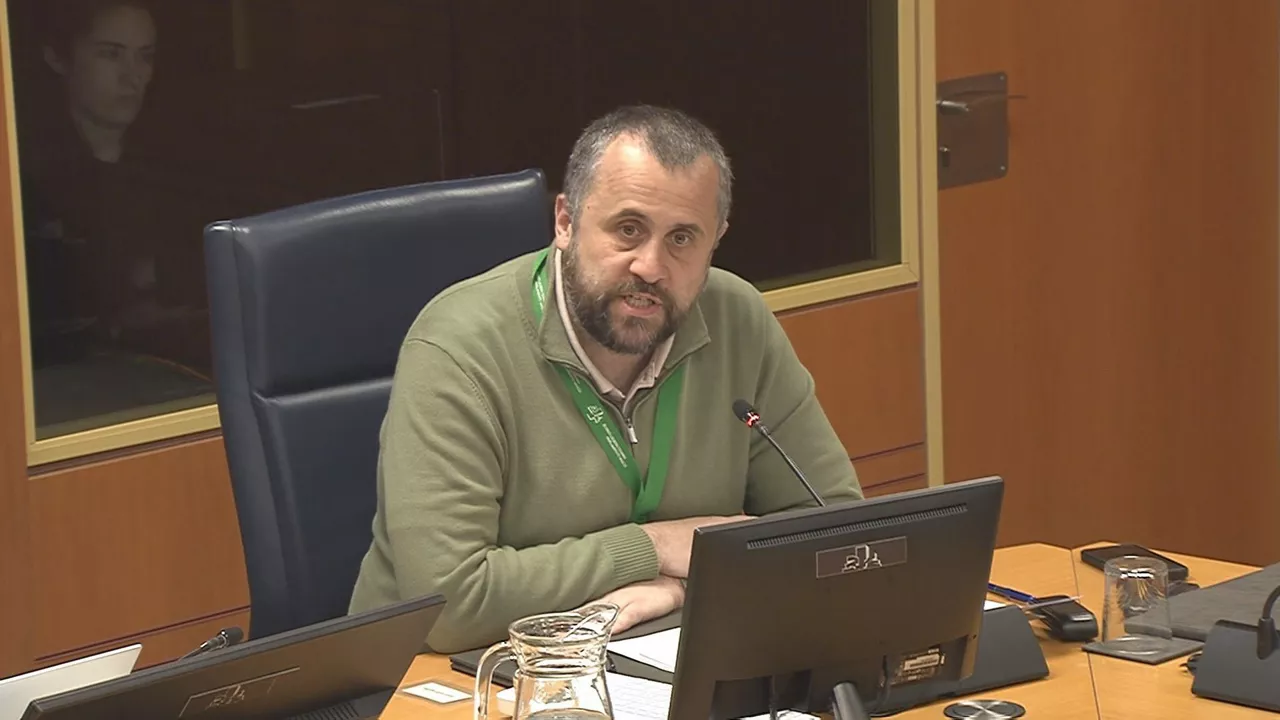Alberto Alonso — imagen 2